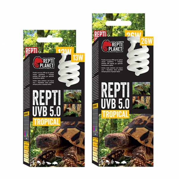 Repti UVB 5.0 Tropical Leuchte